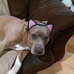 Hayden Cook - Facebook