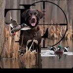 Hayden Cook - Facebook