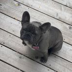 Hayden Dickerson - Facebook