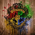 Hayden Dotson - @hayden_dotson_11909 - Instagram
