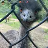 Hayden - @haydendotson148 - TikTok