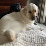 Hayden Downing - @haydendowning3 - Instagram