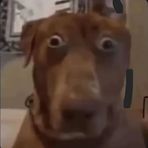 Hayden Doyle - Facebook