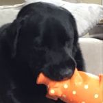 Hayden Duffy - @haydenduffy64 - Instagram