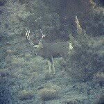 Hayden Young, Dakota Emerson - @antler_rush - Instagram