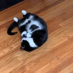 Hayden Ferrell - @haydentferrell - Instagram