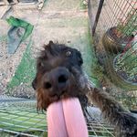 HAYDEN GRAY - @hayden_gray_ - Instagram