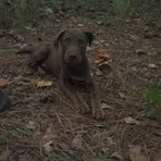 Hayden Gray - Facebook
