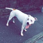 Hayden - @hayden_griffiths1 - Instagram
