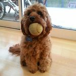 Hayden Guest - @guest_hayden - Instagram