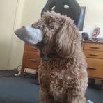 Hayden Guest - Facebook