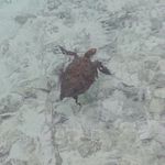 ♣hayden_guest♧ - @_hayden.guest_ - Instagram