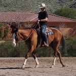 Hayden Henderson - Equine Training - @haydenhenderson.eq - Instagram