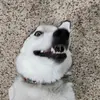 Hayden Hendricks - @hayden.imbored_hendricks - TikTok