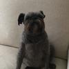 hayden.hendrickson - @hayden.hendrickso - TikTok