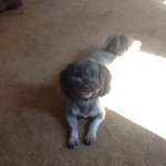 Hayden Hodges - @hodges_hayden - Instagram