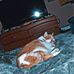 Hayden Huff - Facebook