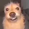 Hayden - @hayden.hurst - TikTok
