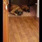 Hadyn Jaeger - Facebook