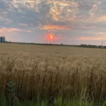 HaydenJaeger - @haydenjaeger14 - Instagram