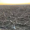 haydenkarr2 - @hayden.karr - TikTok