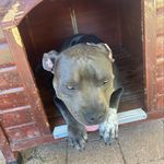 Hayden.Keane1004 - @haydo1004 - Instagram