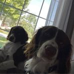 Hayden Keith - Facebook