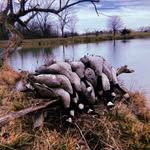 Hayden Knapp - @hayden_knapp_15 - Instagram