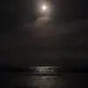 Hayden ! - @hayden.is.lame - TikTok