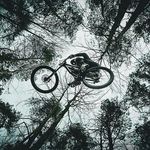 Hayden Lam - @hayden___lam - Instagram