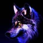 Hayden Lees - Facebook