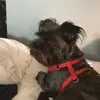 haydenlowe760 - @haydenlowe760 - TikTok