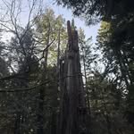 Hayden - @hayden.mathis - Instagram