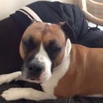 Hayden Mcbride - @mcbride.hayden - Instagram