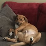 Hayden McDowell - @persons.these.days - Instagram