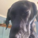 Hayden McGee - Facebook