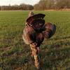 hayden_morrow - @hayden_morrow - TikTok