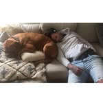 Hayden Mullen - @cestmoihayden - Instagram