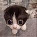 Hayden Patterson - Facebook