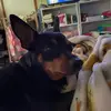 ♡☆Ȟ̈ǎ̈y̌̈ď̈ě̈ň̈ ♡☆ - @hayden.pendley5 - TikTok