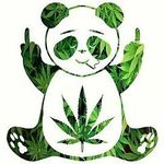 hayden reeves - @haydenreeves40 - Instagram