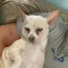 Hayden - @hayden_robertsvro - TikTok