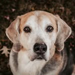 Hayden Roy - @haydenroy53 - Instagram