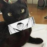 Hayden Terry - @smoothpanda5535 - Instagram