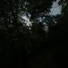 Hayden waller - @haydenw3290 - TikTok