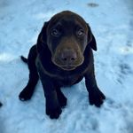 Hayden Ware - @haydenware30 - Instagram