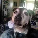 Hayden Warner - Facebook