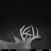 haydenwarner651 - @haydenwarner651 - TikTok