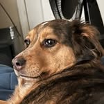 Hayden Werner - @crazyfire.0 - Instagram