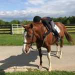 Hayden Wheeler - @hayden_wheeler7 - Instagram